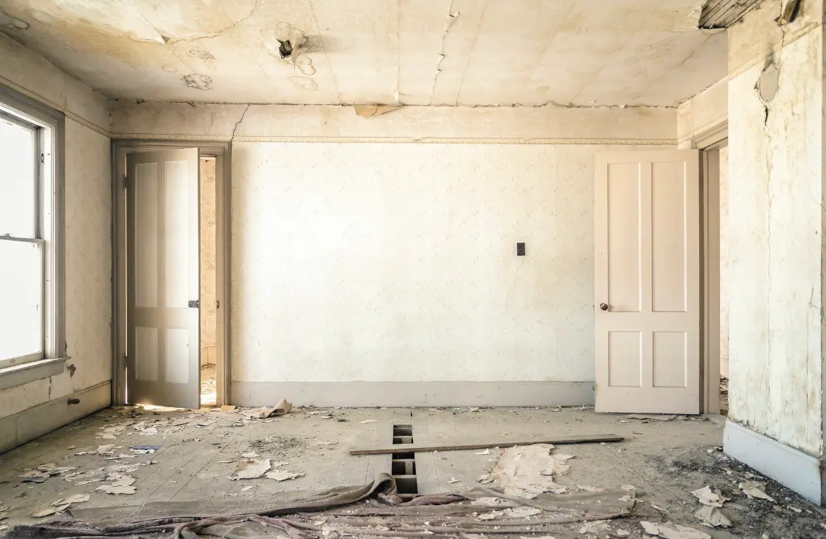 Waste disposal crew managing a cleanout project in Citrus Park